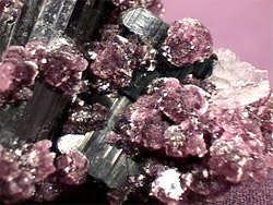 tantalite