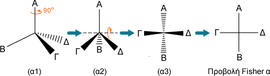 fischer translation example