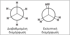 newman example