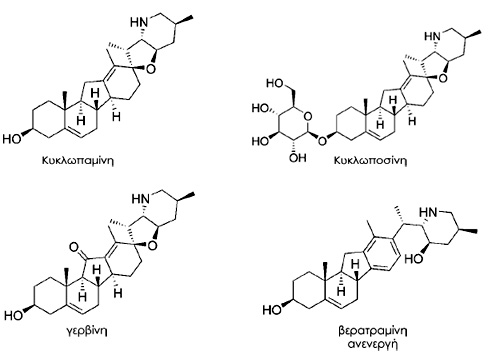 Αλκαλοειδή του φυτού Veratrum californicum
