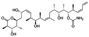 discodermolide